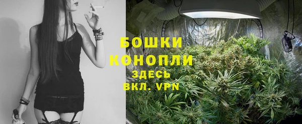 PSILOCYBIN Ростов