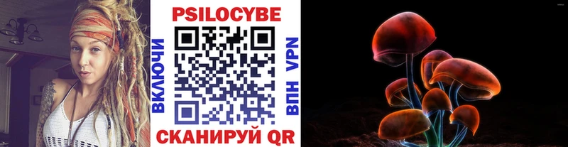 где продают   Морозовск  Галлюциногенные грибы Cubensis 