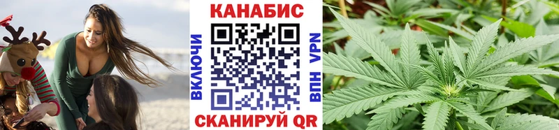 Канабис сатива Морозовск